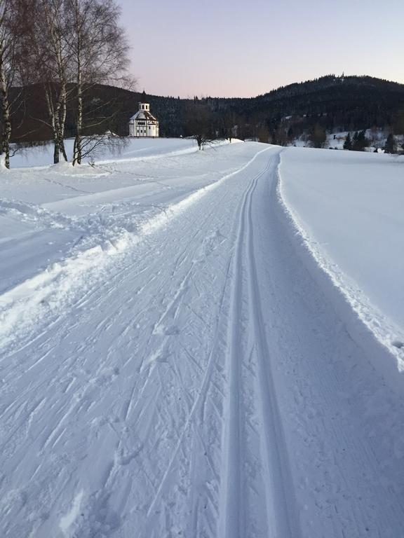 Penzion Zrzka Kořenov Eksteriør bilde